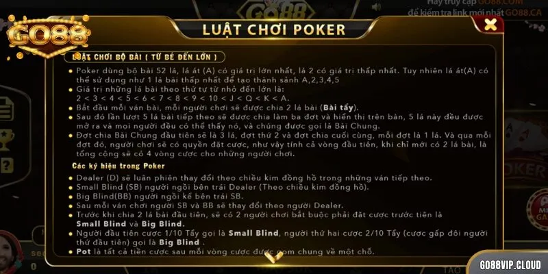 Thành viên cần hiểu rõ và nắm chắc luật chơi